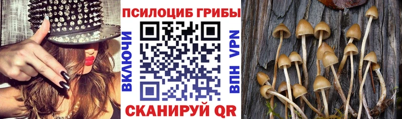Псилоцибиновые грибы ЛСД  Купить где  Кувандык 